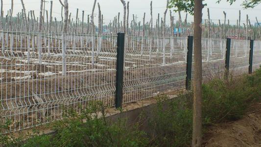 桃型柱護(hù)欄網(wǎng)